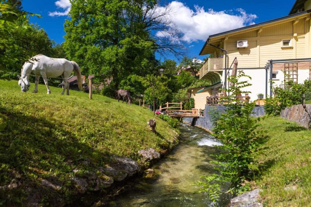 Room Gabrijel With Four Seasons Outdoor Kitchen Bled Exterior foto